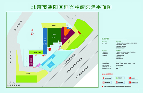 女神吃我的网站北京市朝阳区桓兴肿瘤医院平面图